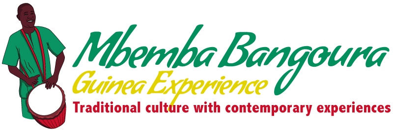 Mbemba Bangoura Guinea Experience